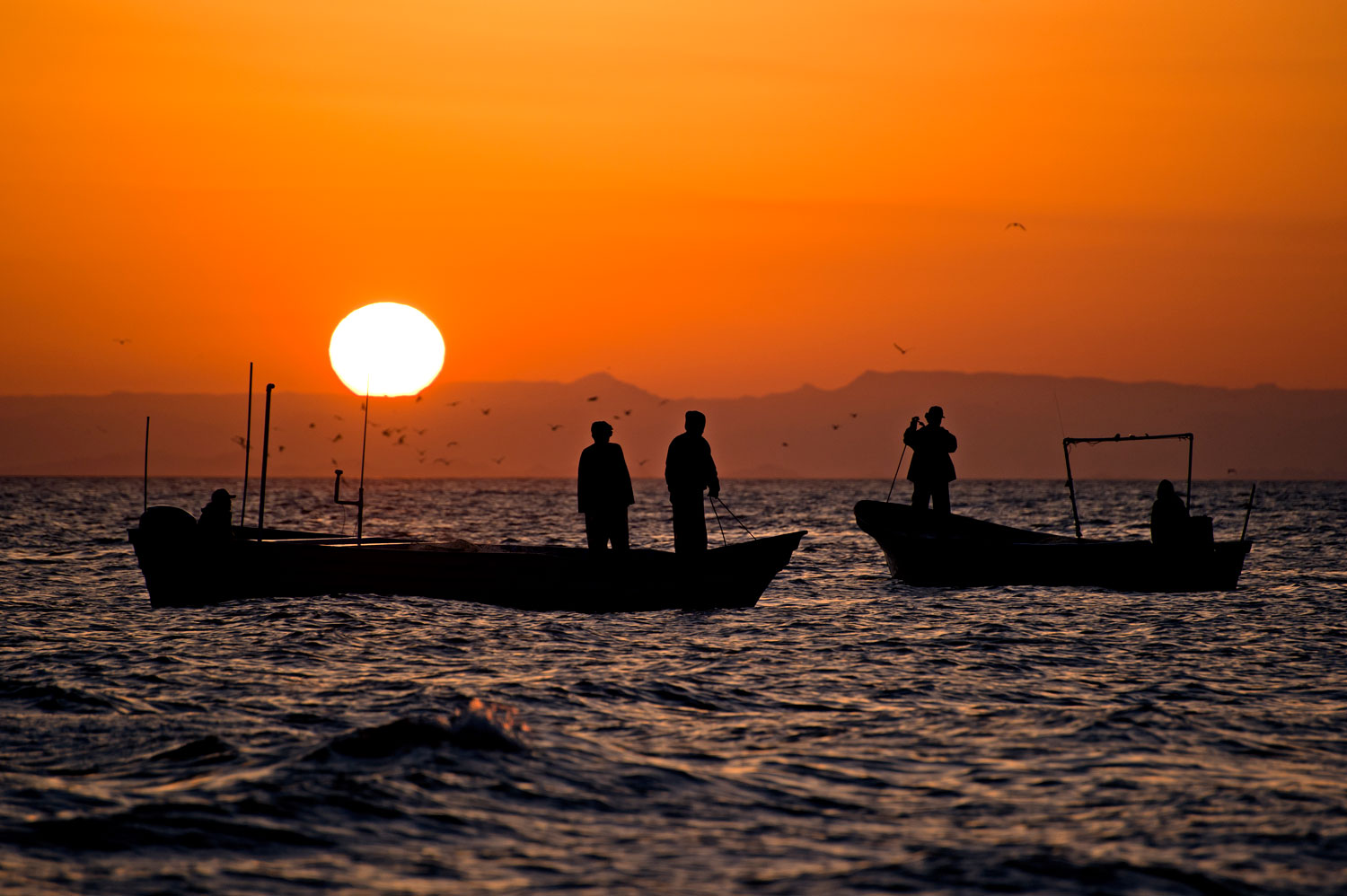 spatial-distribution-of-potential-fishing-effort-in-the-gulf-of