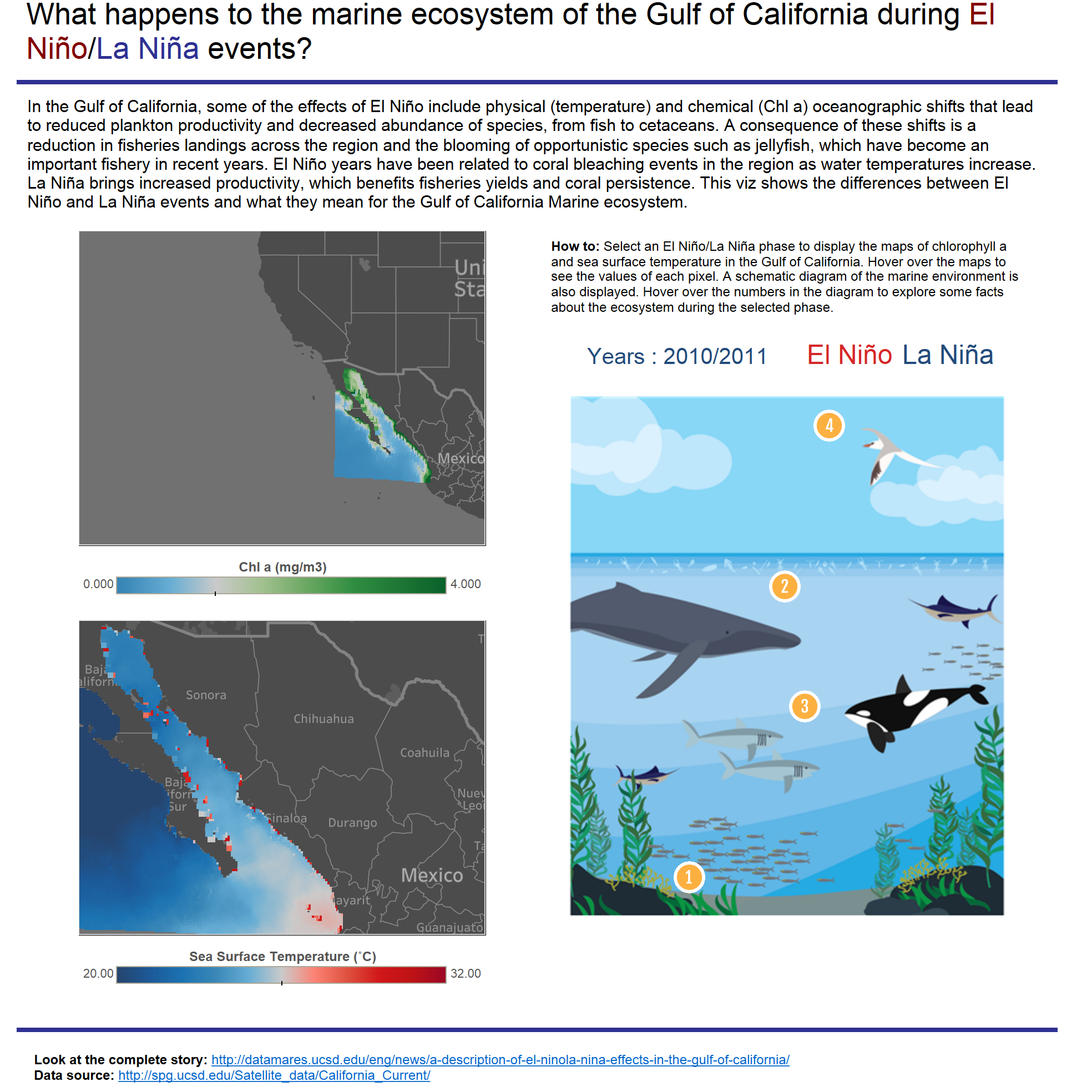 A description of El Niño/La Niña effects in the Gulf of California.