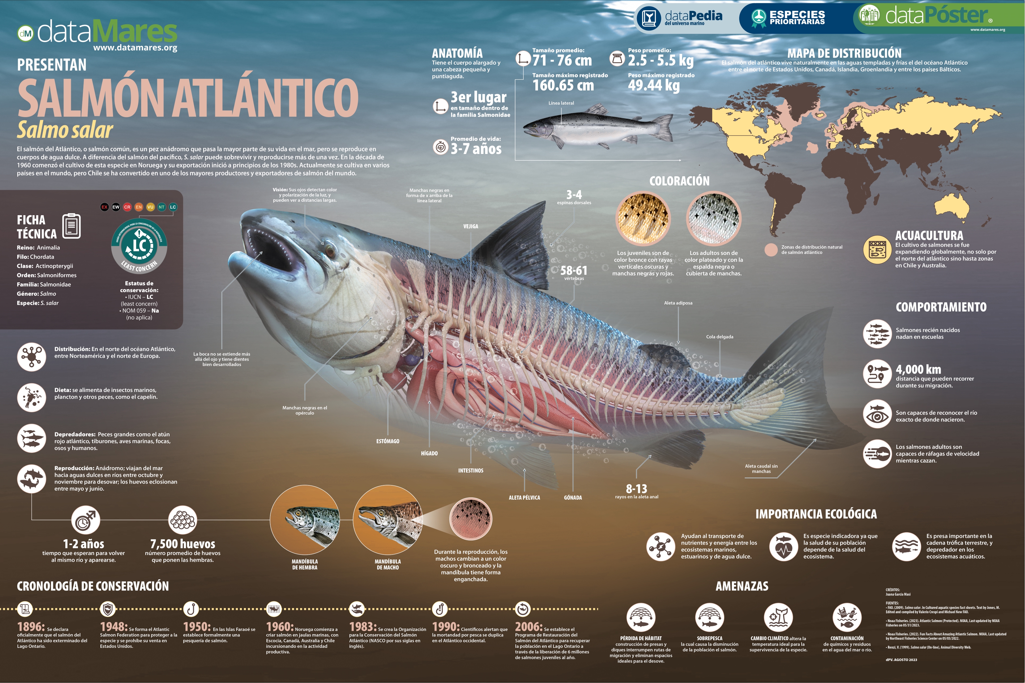 Mirar dataPoster 