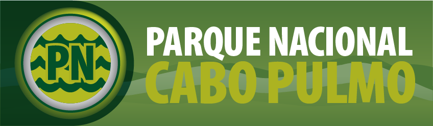 Banner_CaboPulmo