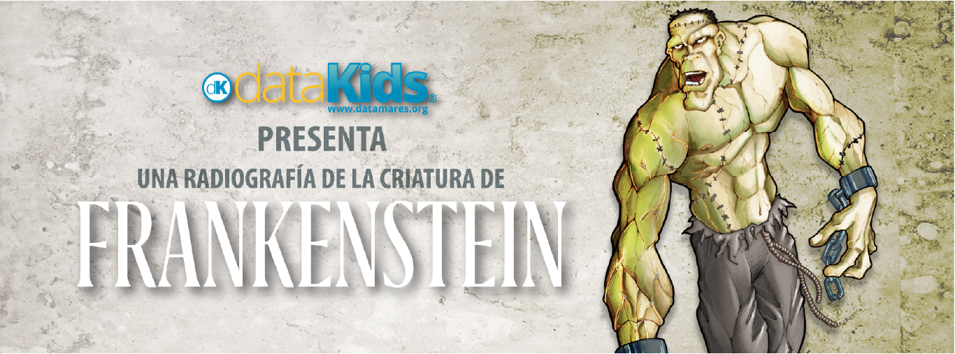 BANNER FRANKENSTEIN-01