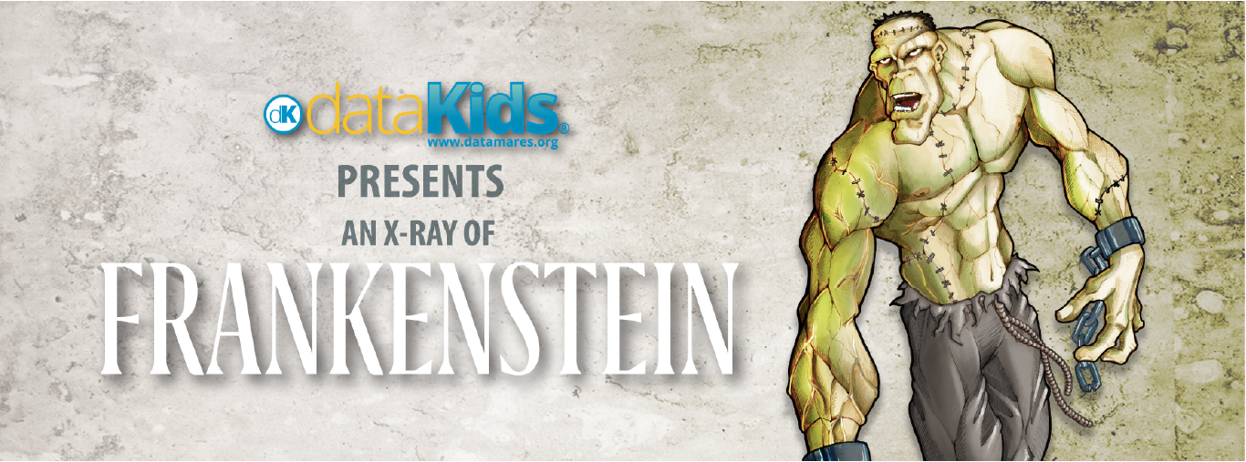 BANNER FRANKENSTEIN-02