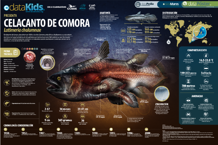 CELACANTO DE COMORA