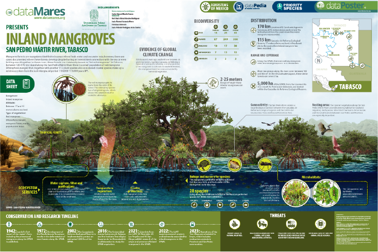 INLAND MANGROVES