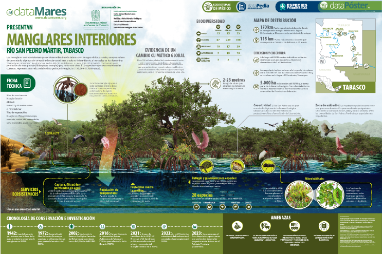 MANGLARES INTERIORES