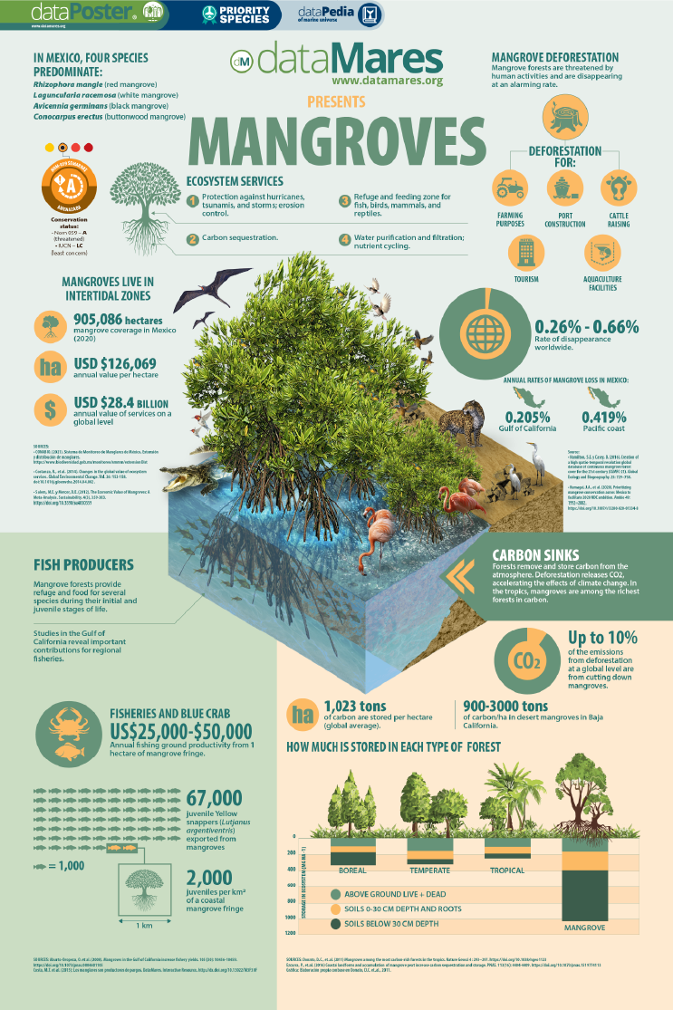 MANGROVES