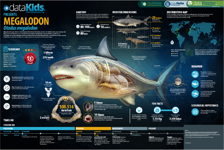 MEGALODON