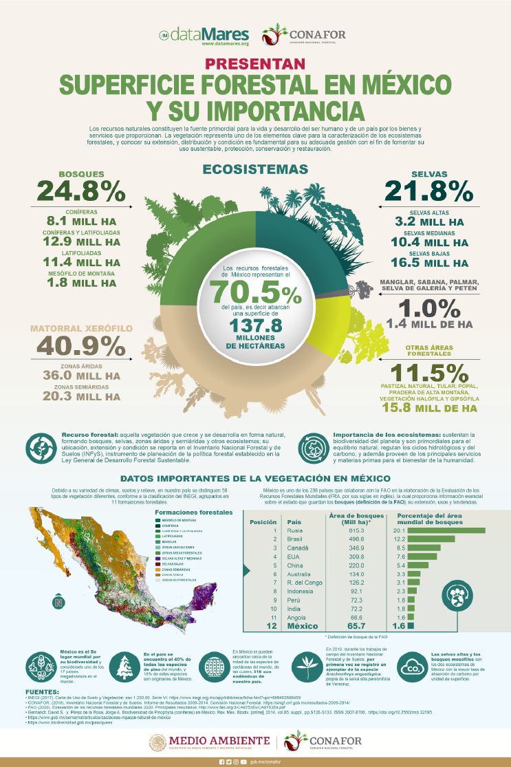 SUPERFICIE FORESTAL