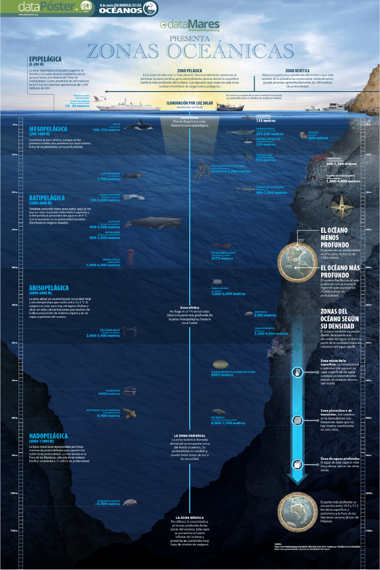 ZONAS OCEÁNICAS