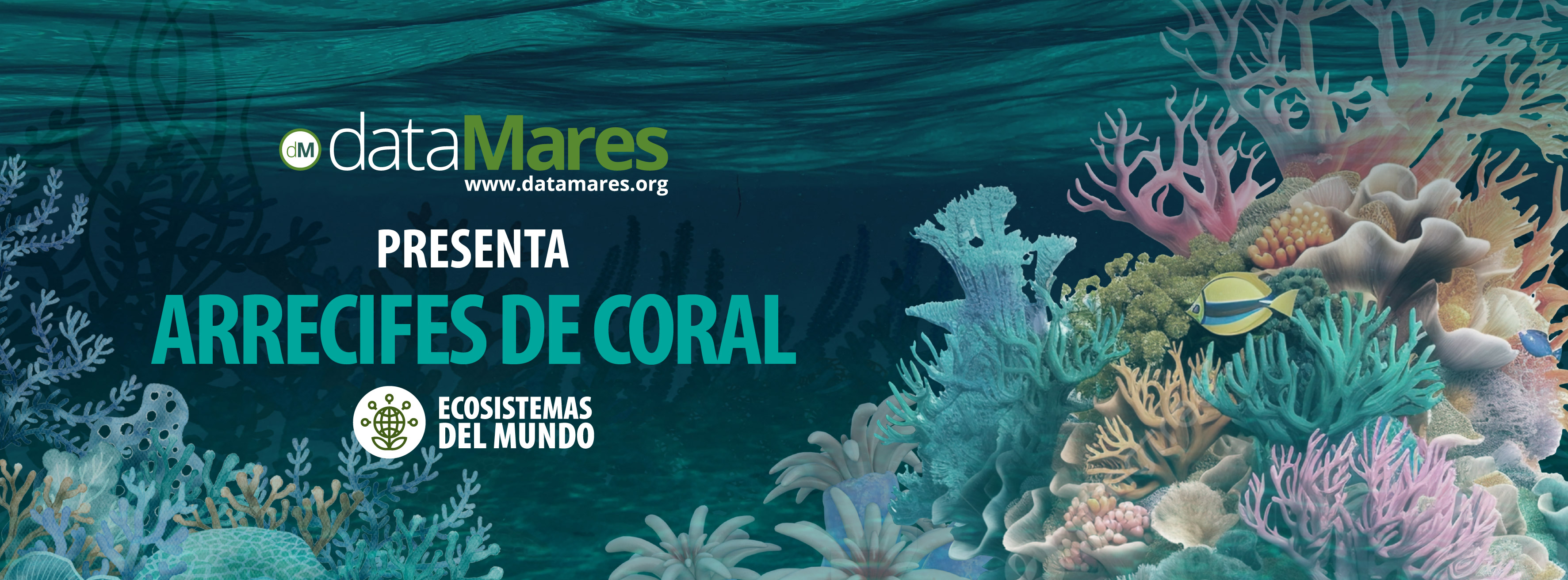 BANNER ARRECIFE CORALINO-01