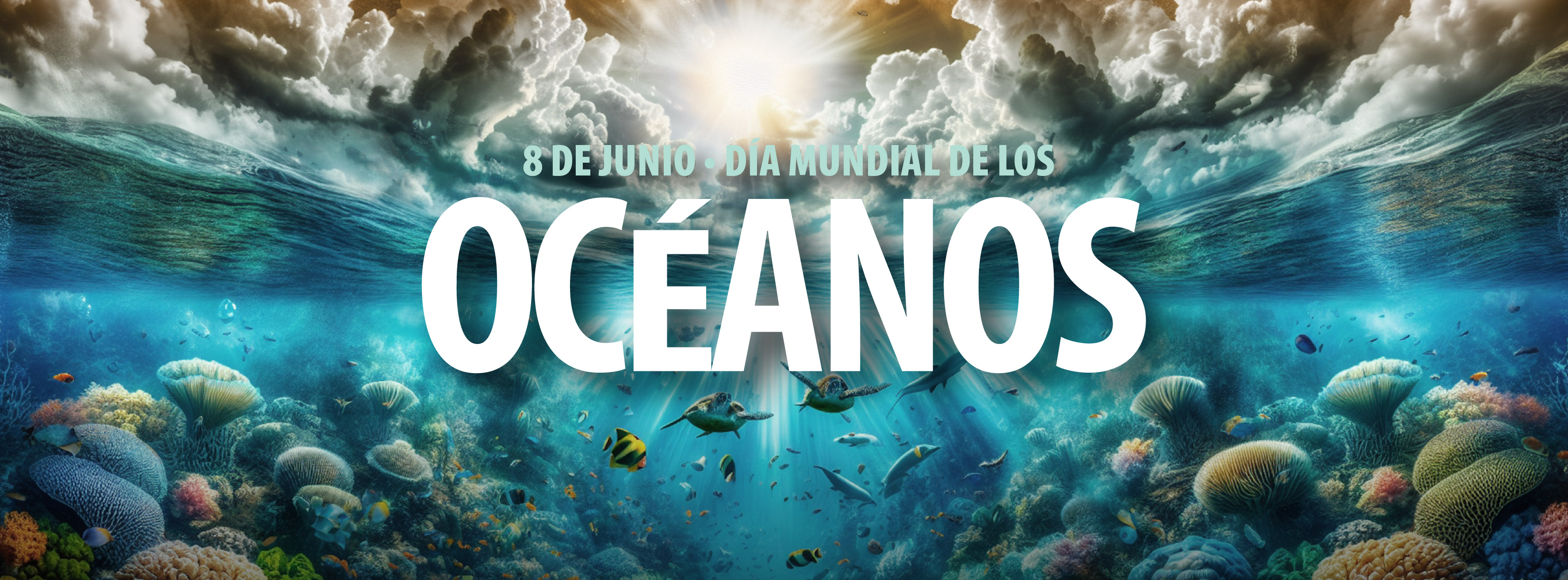 BANNER OCEANOS 2025-01