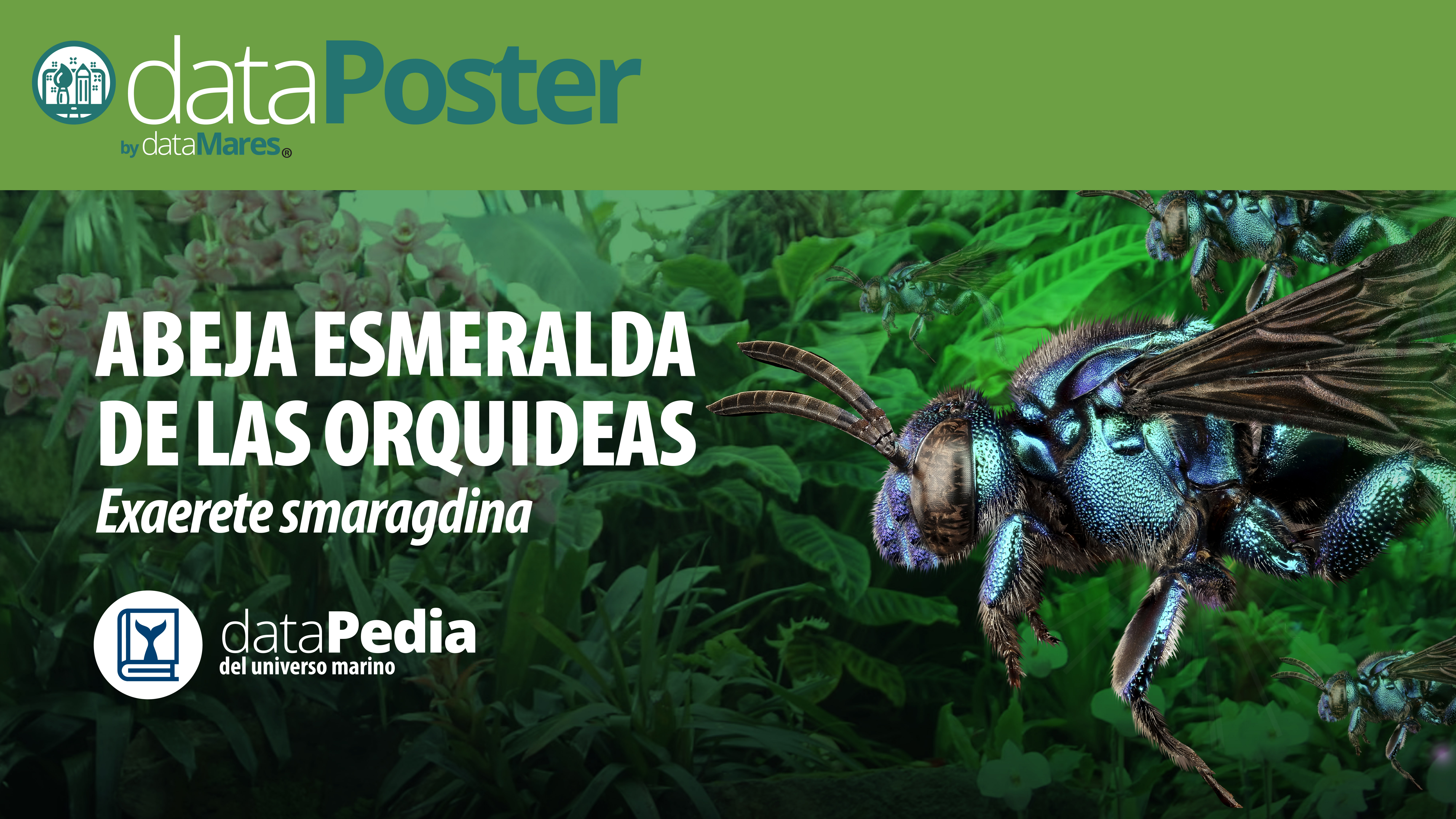 PROMOS-09