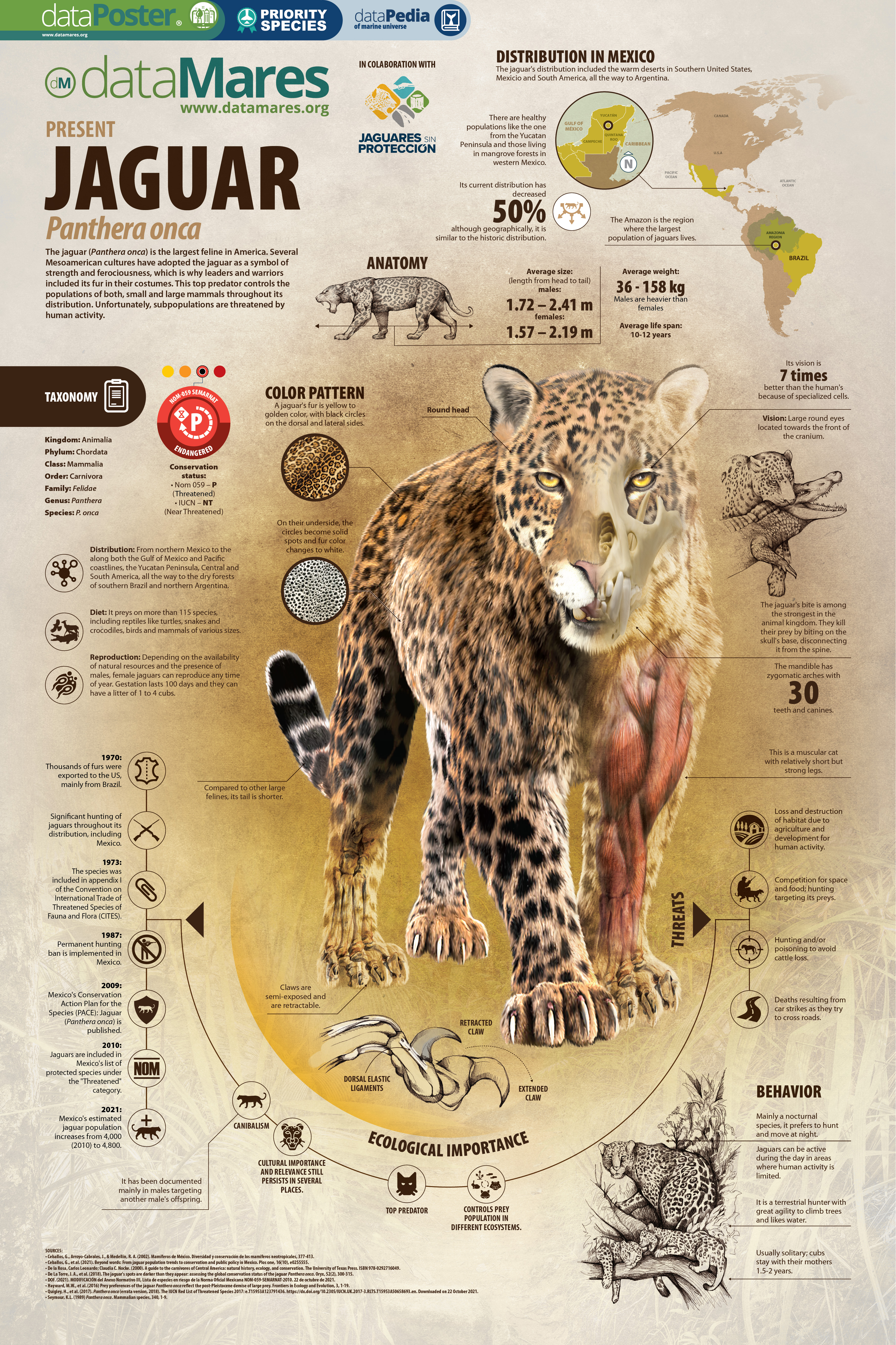 JAGUAR