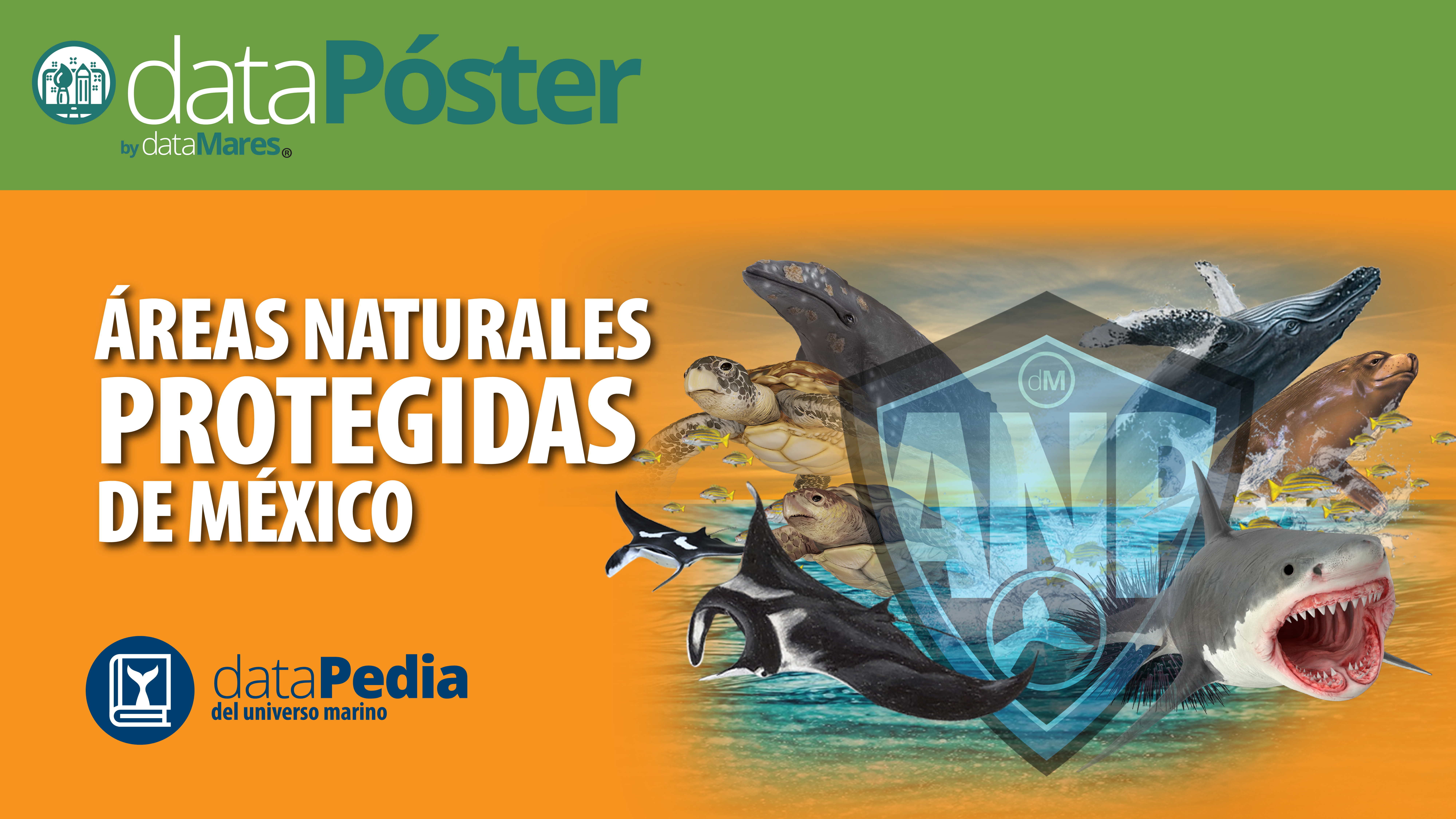 PROMOS-01