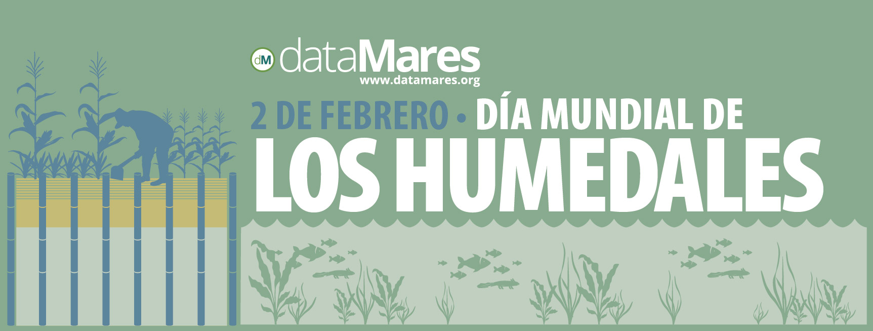 BANNER HUMEDALES-01 (1)