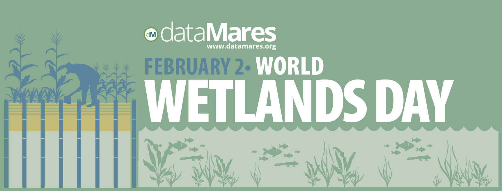 BANNER HUMEDALES-02 (1)