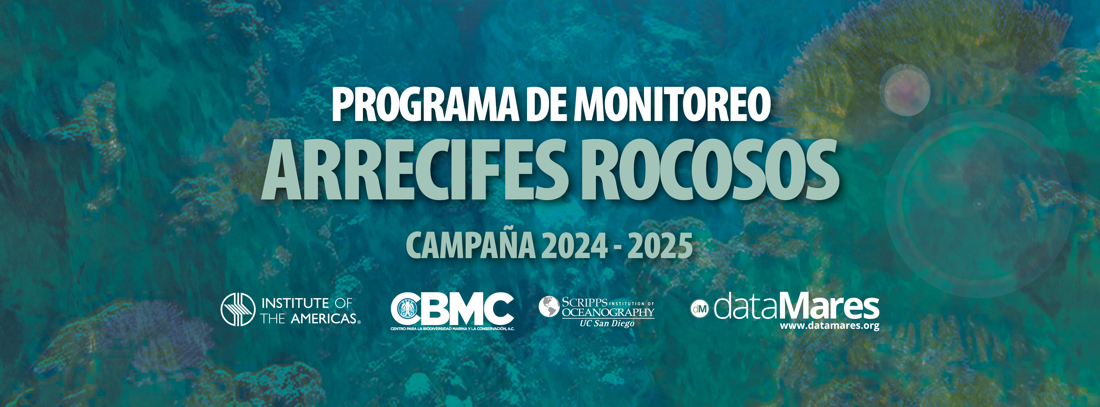BANNER ROCKY REEFS-01.jpg