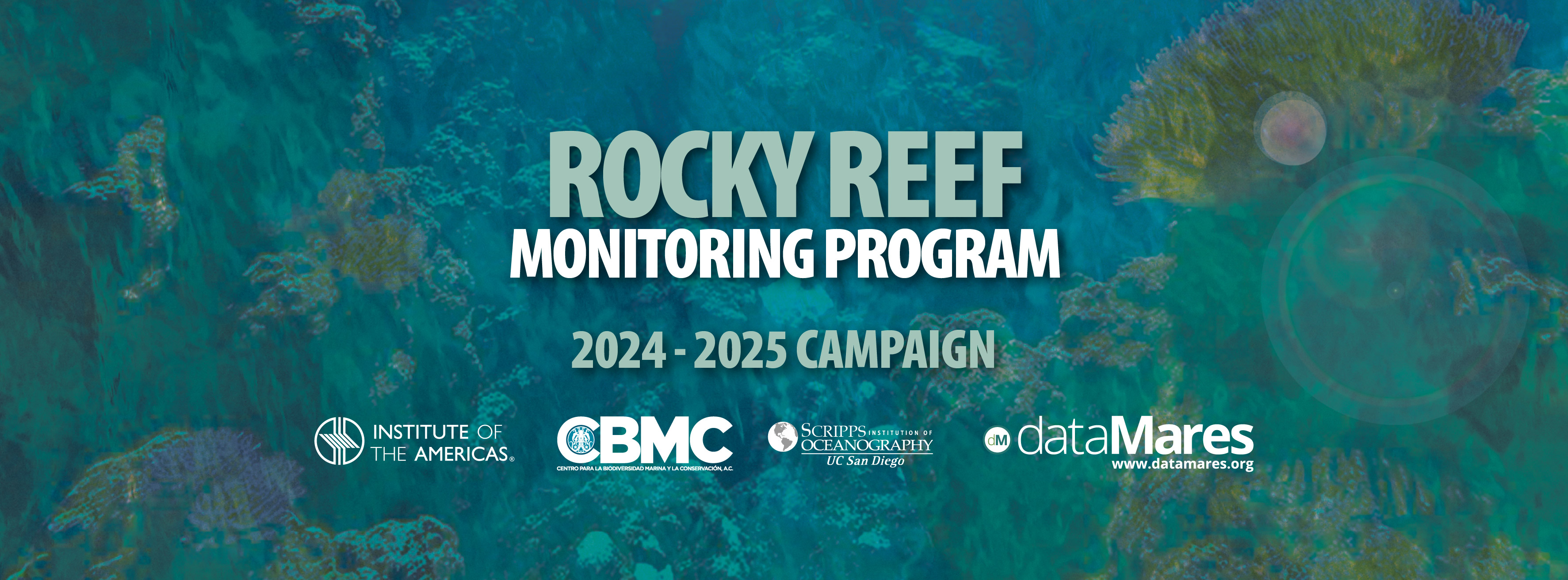 BANNER ROCKY REEFS-02.jpg