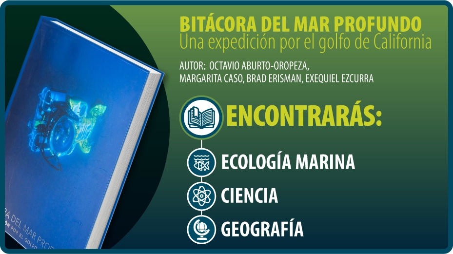 Recurso 1