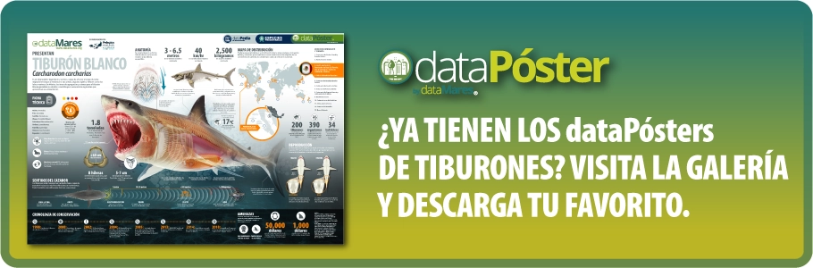 Recurso 2