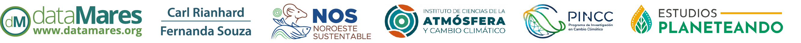 dataMares, Carl Rianhard, Fernanda Souza, Instituto de Ciencias de la Atmósfera y Cambio Climático, PINCC y Estudios Planeteando